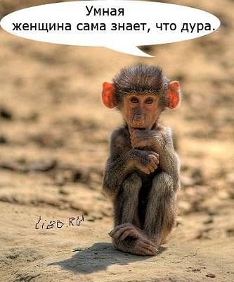 http://cs570.vkontakte.ru/u33414013/106734366/x_4df2fc5a.jpg